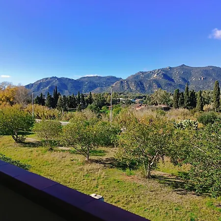 Luisa E וילסימיוס